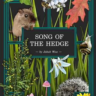 Song of the Hedge Adventure Zine - Physical