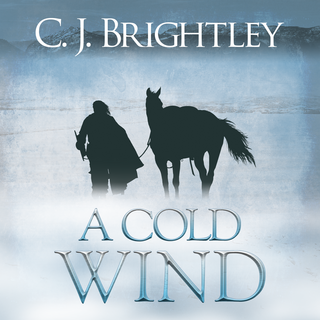 A Cold Wind - audiobook