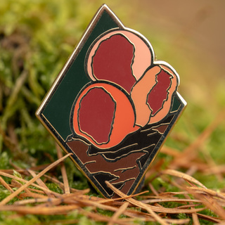 Pin SarcoscyphaCoccinea