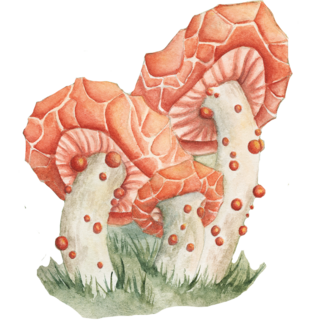 Washi Sticker: Wrinkled Peach