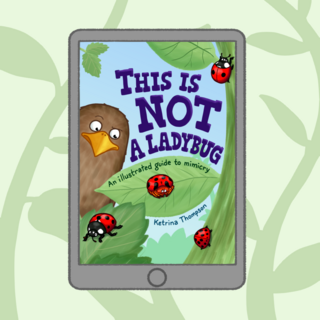 Digital copy of "This Is Not a Ladybug"