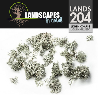 Lichen Coarse (204)