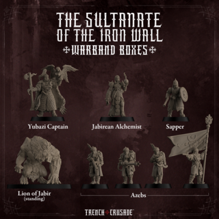 Sultanate of the Iron Wall Warband - Physical