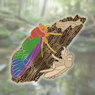 Rainbow Cicada 2" Pin
