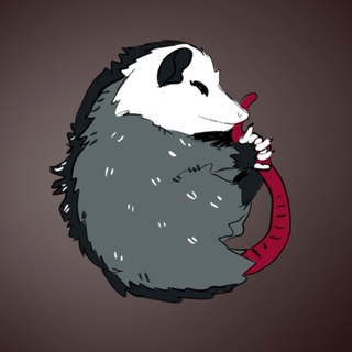 Opossum