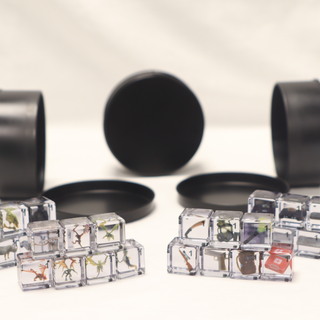 Single Dice Tin - Regular (16mm) D6