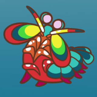 Rainbow Mantis Shrimp