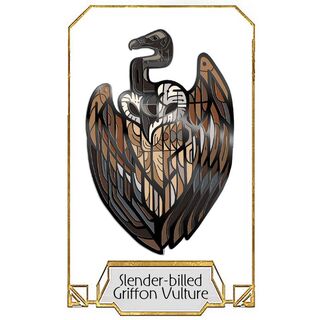 Slender-Billed Vulture Pin