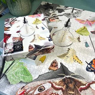 1000 piece moth jigsaw