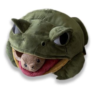 Frog with Mouse Plushie