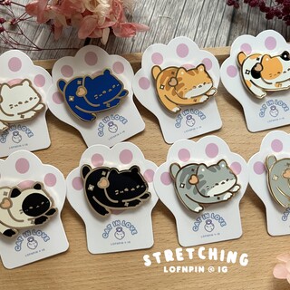 Cat Enamel pin Stretch and Slide Down
