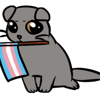Trans flag cat Pin