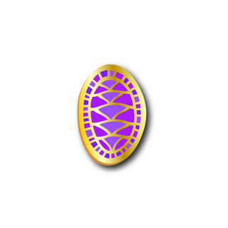 Accent Pin | Lined Chiton