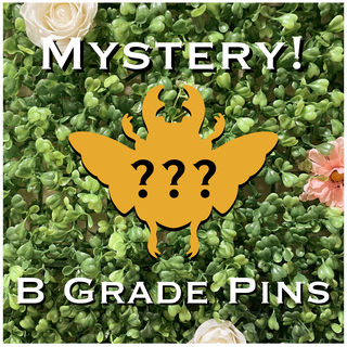 Lucky Dip! Mystery B Grade Pin (Celestial Insects Campaign)