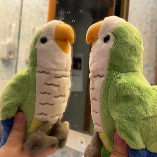 Two Pauli Plush