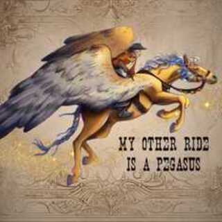 "My other ride is a pegasus" All-weather car decal