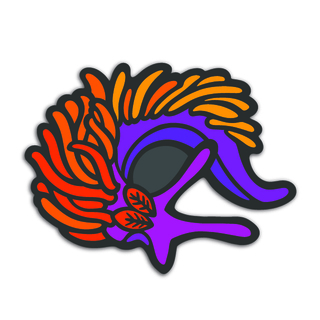 Sticker | Spanish Shawl Nudibranch