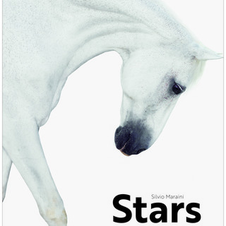Stars. Equine Portraits