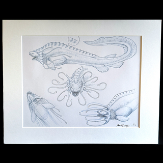 Original - VERY FIRST Astra Fauna image