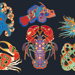 Warped Ocean Pins - Gold