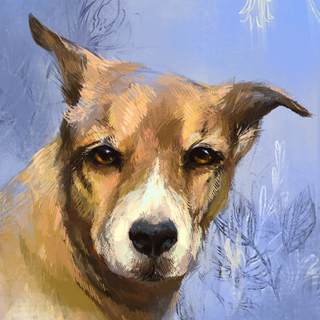 Custom 6"x8" Pet Portrait Commissions