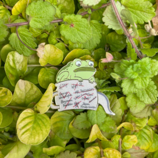 OTGW Frog Pin