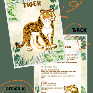 Info Card