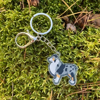 Australian shepherd acrylic keyring 1pcs