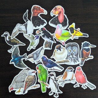 Birdtober 2025 Sticker of Choice X10