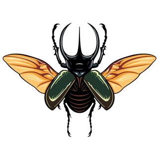 Rhino Beetle 3" XL pin