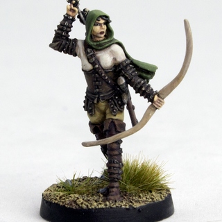 Sheriff's Levy (Follower)