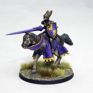Knight of Vasilar (Hero / Alternate Leader)