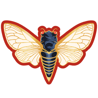 Cicada Sticker