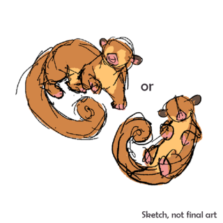 Kinkajou full body pin + sticker