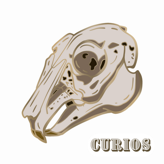 Rabbit Skull Enamel Pin
