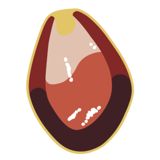 Pomegranite Seed