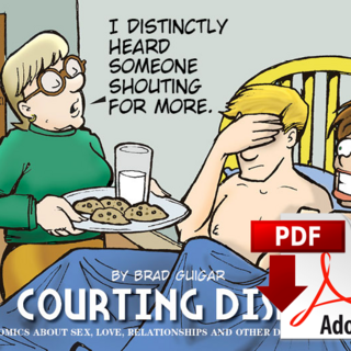 Courting Disaster Vol. 2 — PDF