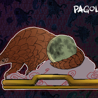 Guest Pin - Jacob Sweet