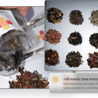 Lock in $20 payment plus shipping is for 1 month of the 12-month subscription service