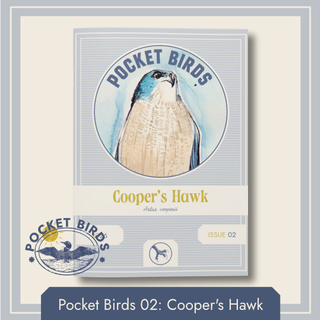 PB02 - Cooper's Hawk