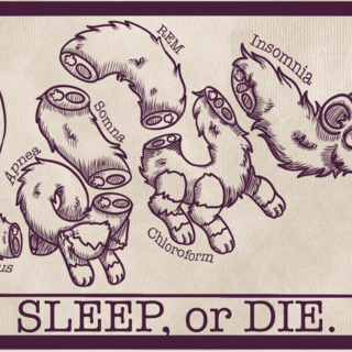 Sleep Or Die Tapestry