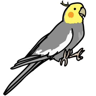 Cockatiel Enamel Pin