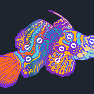 Mandarinfish Pin - Rainbow