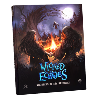 Wicked Echoes (Hardcover book)