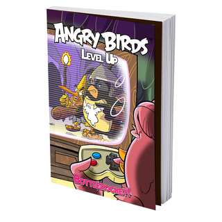 *Team Birds* Level Up! Graphic Novel (Softcover)