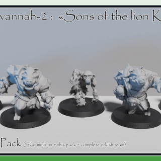 Savannah-2-team : Skar Ork pack