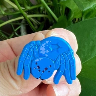 Blueberry Spider PIN