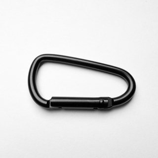 Gate Carabiner