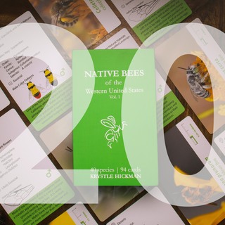 Twenty Decks - Native Bee Flashcards!