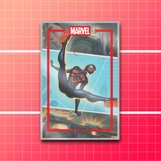 Portfolio - Spider-Verse
